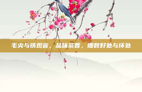 毛尖与铁观音,品味茶香,细数好处与坏处