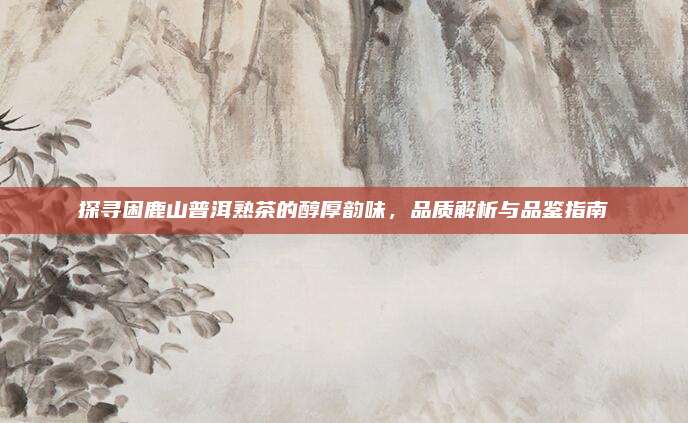 探寻困鹿山普洱熟茶的醇厚韵味，品质解析与品鉴指南