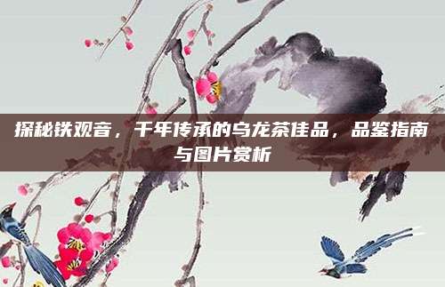 探秘铁观音,千年传承的乌龙茶佳品,品鉴指南与图片赏析