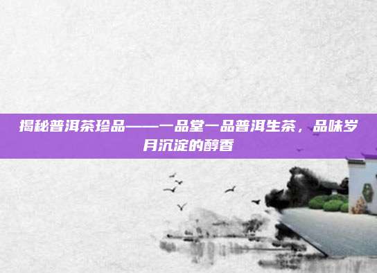 揭秘普洱茶珍品——一品堂一品普洱生茶,品味岁月沉淀的醇香