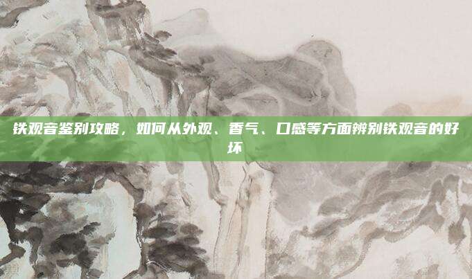 铁观音鉴别攻略,如何从外观、香气、口感等方面辨别铁观音的好坏