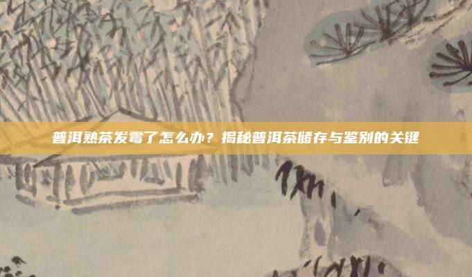 普洱熟茶发霉了怎么办?揭秘普洱茶储存与鉴别的关键