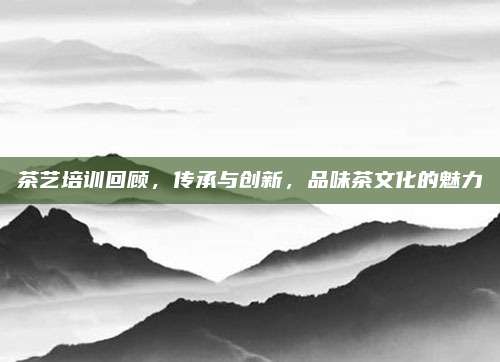 茶艺培训回顾,传承与创新,品味茶文化的魅力