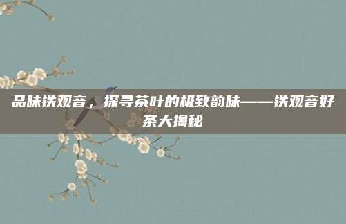品味铁观音，探寻茶叶的极致韵味——铁观音好茶大揭秘