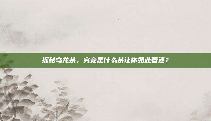 探秘乌龙茶,究竟是什么茶让你如此着迷?