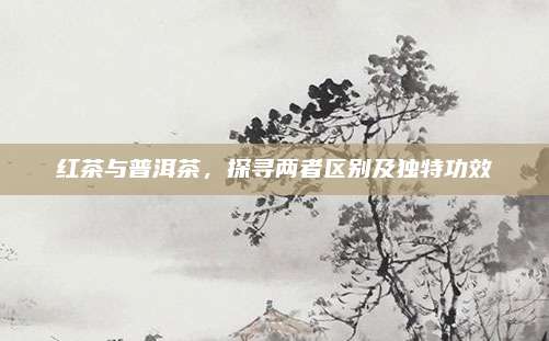 红茶与普洱茶,探寻两者区别及独特功效