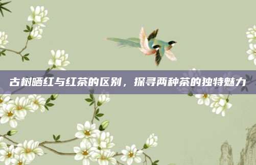 古树晒红与红茶的区别，探寻两种茶的独特魅力