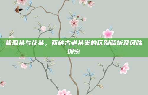 普洱茶与茯茶,两种古老茶类的区别解析及风味探索