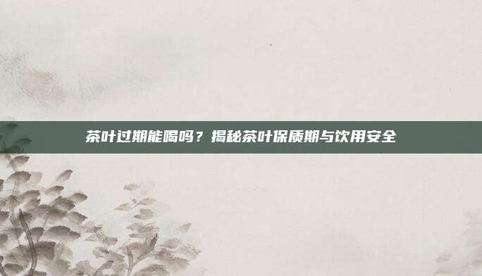 茶叶过期能喝吗?揭秘茶叶保质期与饮用安全