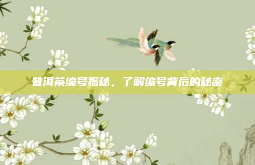普洱茶编号揭秘，了解编号背后的秘密