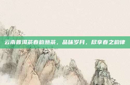 云南普洱茶春韵熟茶,品味岁月,尽享春之韵律
