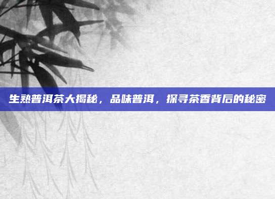 生熟普洱茶大揭秘,品味普洱,探寻茶香背后的秘密