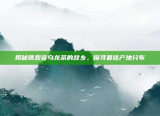 揭秘铁观音乌龙茶的故乡，探寻最佳产地分布