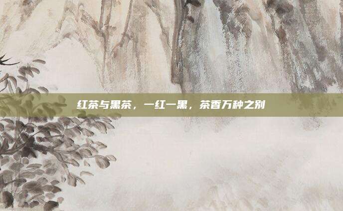 红茶与黑茶，一红一黑，茶香万种之别