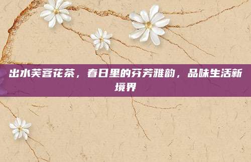 出水芙蓉花茶，春日里的芬芳雅韵，品味生活新境界