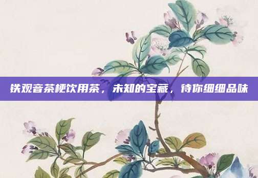 铁观音茶梗饮用茶，未知的宝藏，待你细细品味