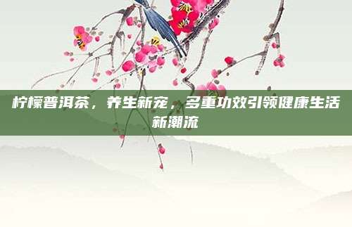 柠檬普洱茶，养生新宠，多重功效引领健康生活新潮流