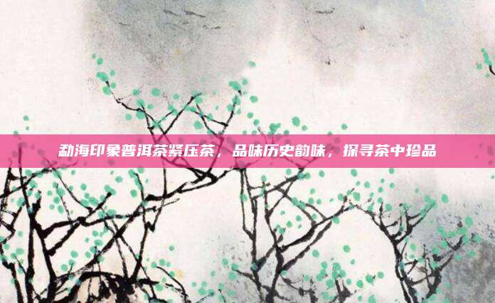 勐海印象普洱茶紧压茶,品味历史韵味,探寻茶中珍品