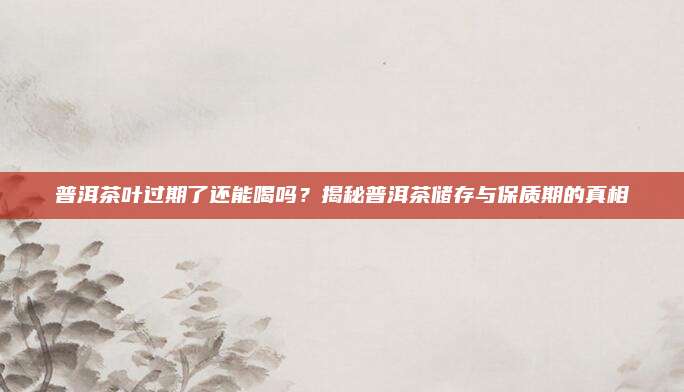 普洱茶叶过期了还能喝吗?揭秘普洱茶储存与保质期的真相