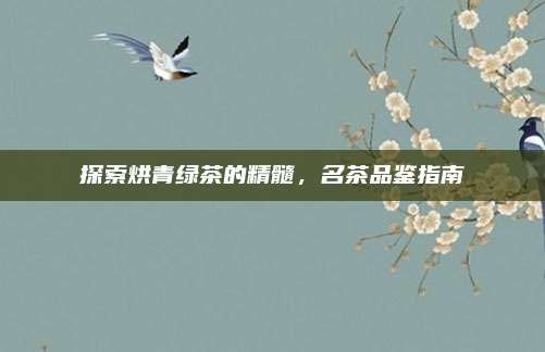 探索烘青绿茶的精髓,名茶品鉴指南