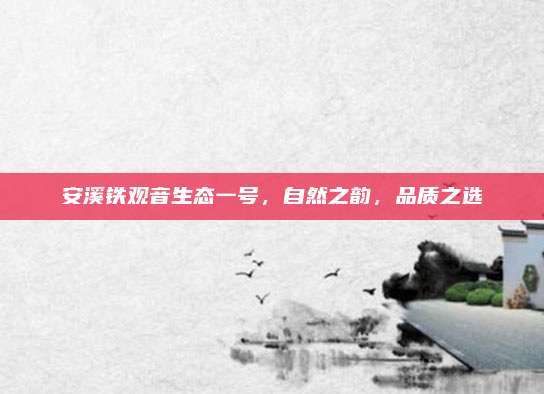 安溪铁观音生态一号,自然之韵,品质之选
