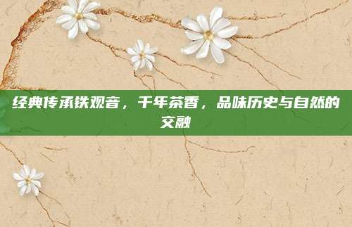经典传承铁观音，千年茶香，品味历史与自然的交融