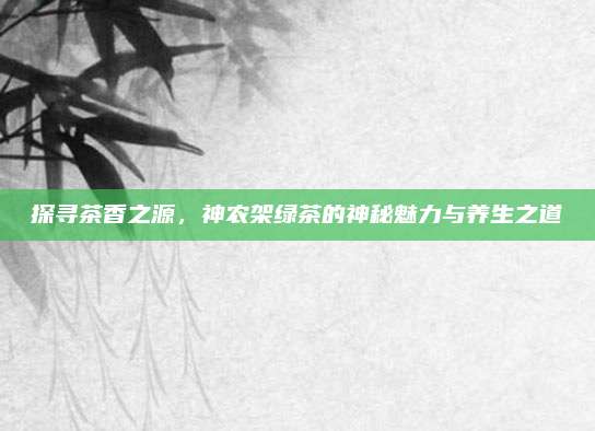 探寻茶香之源,神农架绿茶的神秘魅力与养生之道