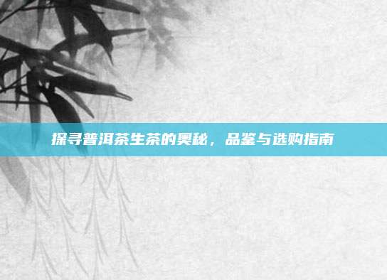 探寻普洱茶生茶的奥秘,品鉴与选购指南