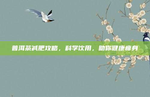 普洱茶减肥攻略,科学饮用,助你健康瘦身