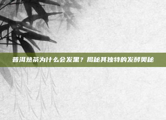 普洱熟茶为什么会发黑？揭秘其独特的发酵奥秘