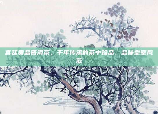 宫廷贡品普洱茶,千年传承的茶中珍品,品味皇室风范
