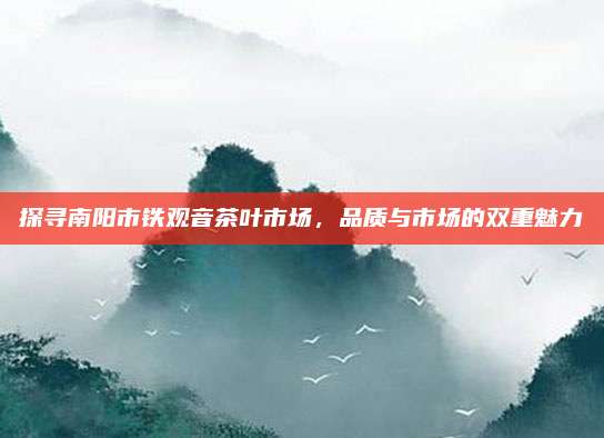 探寻南阳市铁观音茶叶市场，品质与市场的双重魅力