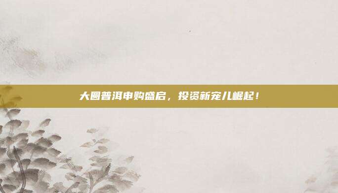 大圆普洱申购盛启,投资新宠儿崛起!