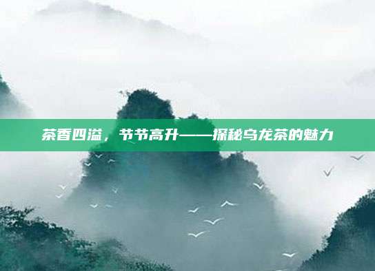 茶香四溢，节节高升——探秘乌龙茶的魅力