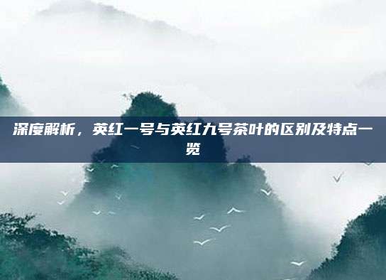 深度解析，英红一号与英红九号茶叶的区别及特点一览