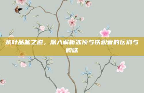 茶叶品鉴之道,深入解析冻顶与铁观音的区别与韵味