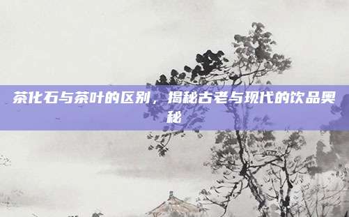 茶化石与茶叶的区别，揭秘古老与现代的饮品奥秘