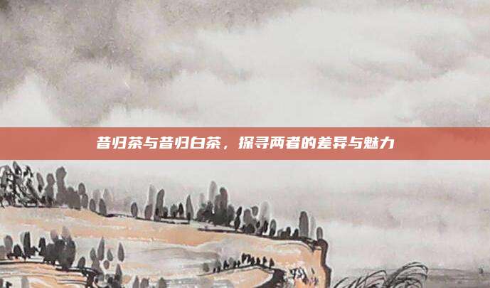 昔归茶与昔归白茶，探寻两者的差异与魅力