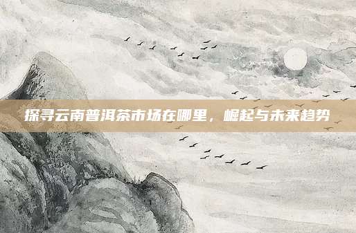 探寻云南普洱茶市场在哪里,崛起与未来趋势