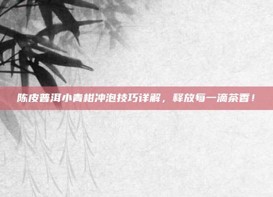 陈皮普洱小青柑冲泡技巧详解,释放每一滴茶香!