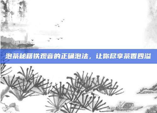 泡茶秘籍铁观音的正确泡法,让你尽享茶香四溢