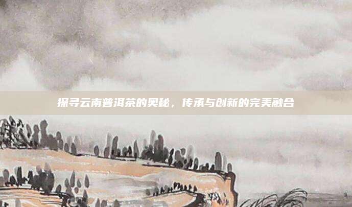 探寻云南普洱茶的奥秘,传承与创新的完美融合