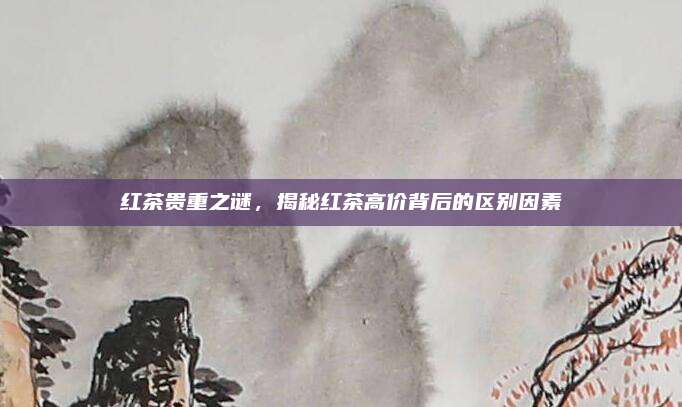 红茶贵重之谜,揭秘红茶高价背后的区别因素