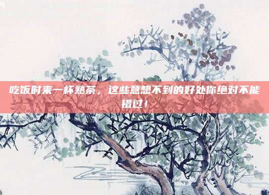 吃饭时来一杯熟茶，这些意想不到的好处你绝对不能错过！