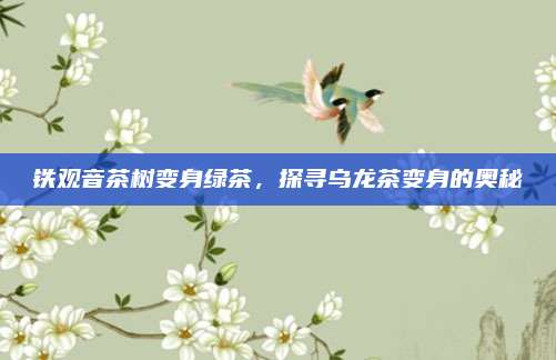 铁观音茶树变身绿茶,探寻乌龙茶变身的奥秘