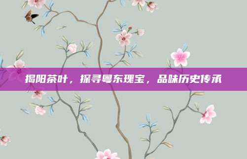 揭阳茶叶,探寻粤东瑰宝,品味历史传承