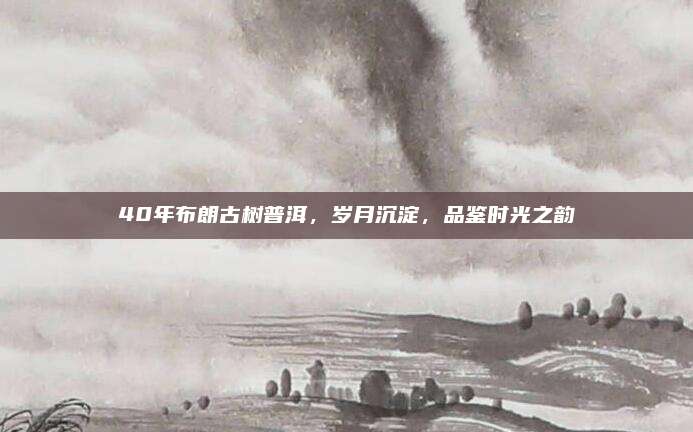40年布朗古树普洱,岁月沉淀,品鉴时光之韵