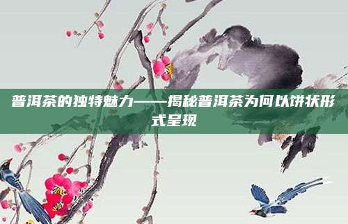 普洱茶的独特魅力——揭秘普洱茶为何以饼状形式呈现