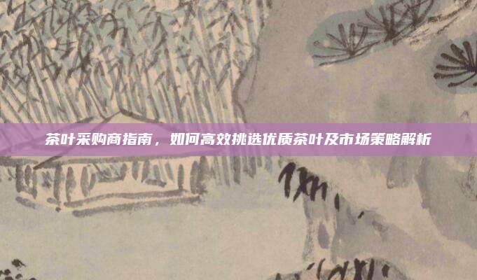 茶叶采购商指南，如何高效挑选优质茶叶及市场策略解析