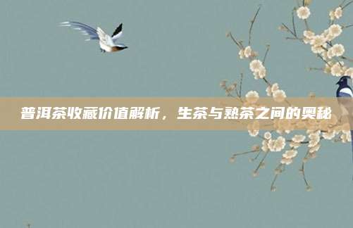 普洱茶收藏价值解析,生茶与熟茶之间的奥秘
